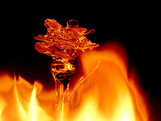glass flower on dark background aflame