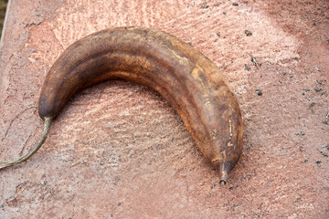 Whole Dry Luffa Pod on concrete