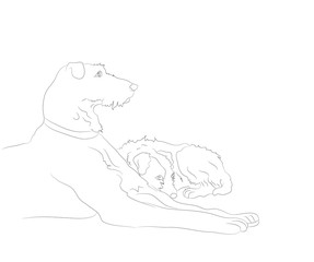 dog lies, lines, vector,