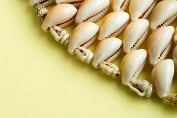 Beautiful summer cowrie shells on yellow background