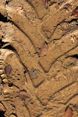 Heavy machinery tyre track impressions in mud on construction site 