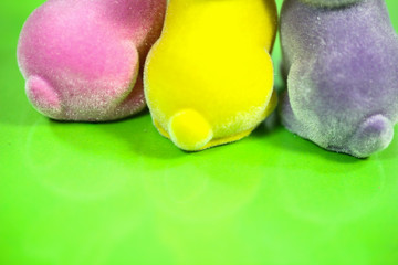 colorful funny easter bunnies from behind, easter bunnies from behind, decoration bunnies