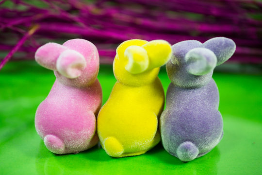 colorful funny easter bunnies from behind, easter bunnies from behind, decoration bunnies