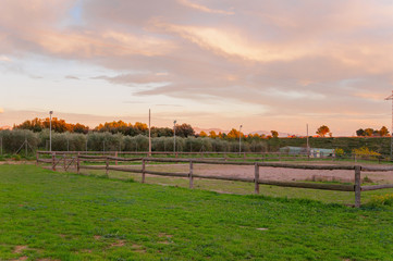 Fototapeta premium Fencing for horses .