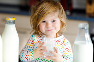 Adorable toddler girl drinking cow milk for breakfast. Cute baby daughter with lots of bottles....
