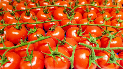 Fresh shiny ripe red tomato on a shelf in supermarket with green stalk