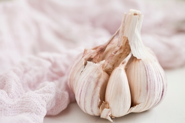 Bulbs of garlic- on bright background