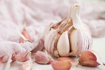 Bulbs of garlic- on bright background