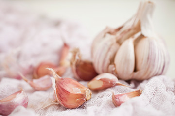 Bulbs of garlic- on bright background