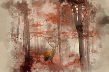 Beautiful image of red deer stag in foggy Autumn colorful forest landscape image