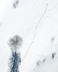 Aerial shots of Scandinavian Winter