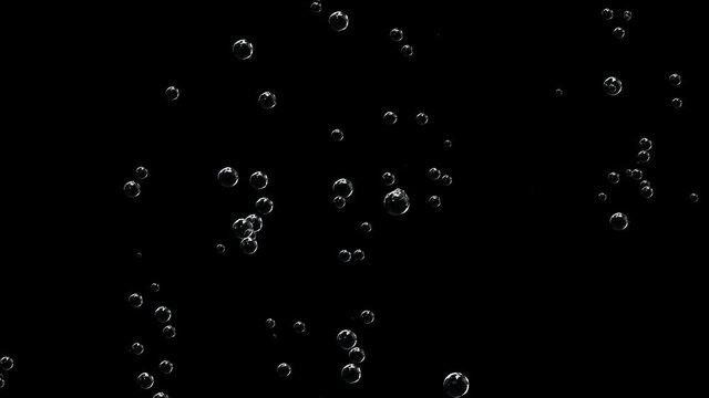 Bubbles of champagne thin threads rise to the top.Champagne bottle is opened and sprinkled. Slow motion, black background.