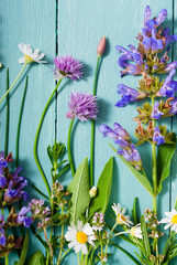 herbal flowers on blue wooden table background