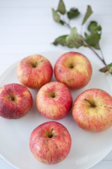 Red organic  apples with leaves