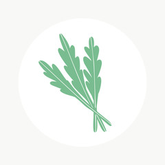 Arugula leaves hand drawn icon. Doodle logo in circle isolated on white background