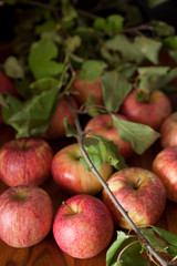 Red organic  apples with leaves