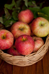 Red organic  apples with leaves