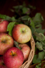 Red organic  apples with leaves