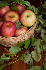 Red organic  apples with leaves