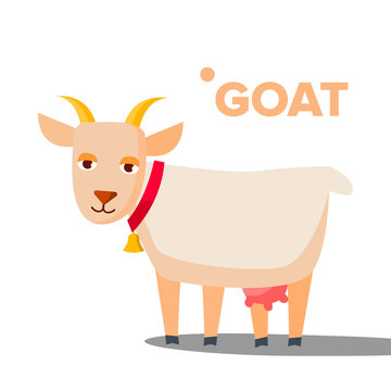 Goat Vector. Funny Animal. Isolated Flat Cartoon Illustration