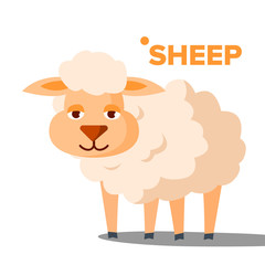 Sheep Vector. Funny Animal Isolated Flat Cartoon Illustration