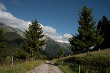 Fototapeta na wymiar Col du Chaussy - Alpes