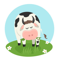 Cow eating grass