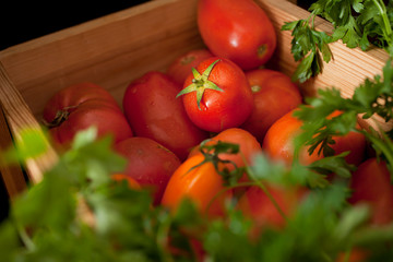 Colorful organic tomatoes