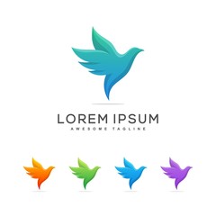 Dove illustration vector Design template