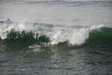 surfista en california