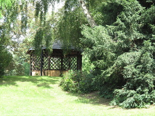 Obraz premium Wooden gazebo in the middle of a forest