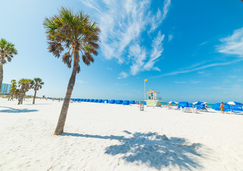 Wit zand en palmbomen in Clearwater
