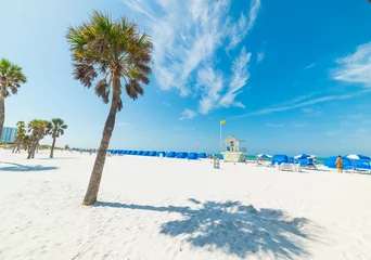 Stickers pour porte Clearwater Beach, Floride Sable blanc et palmiers à Clearwater