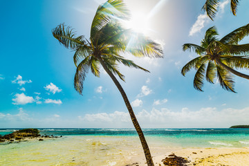 Sun shining over La Caravelle beach in Guadeloupe