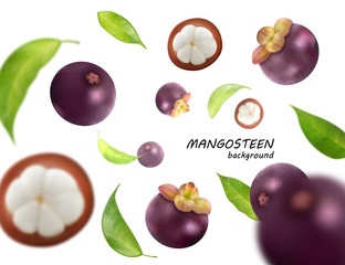 Flying mangosteens background. Mangosteen jn transparent backdrop. Vector, 3d illustration