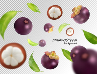 Flying mangosteens background. Mangosteen jn transparent backdrop. Vector, 3d illustration