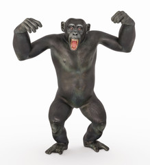 Obraz premium Schimpanse in dominanter Pose