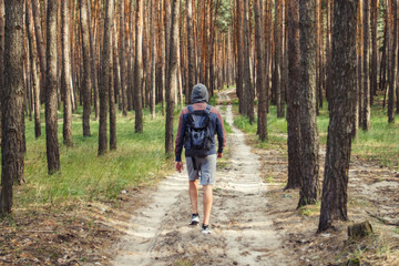 Obraz premium Traveler man walks with a backpack on a dirt road in a pine forest. Concept of hiking in the forest and mountains
