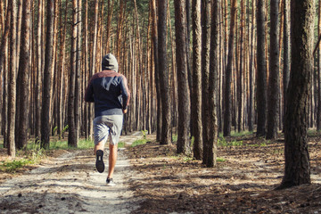 Man in hoodie has workout in a pine forest. Concept of morning matins jogging in outdoor