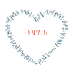 Obraz premium hand drawn watercolor composition in a heart shape from twigs of eucalyptus