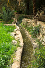 Bewässerungssystem im Oman