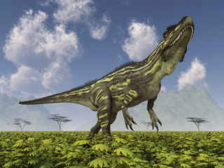 Dinosaurier Torvosaurus in einer Landschaft