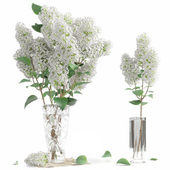 Two bouquets of white lilac in crystal vases, isolated on white background