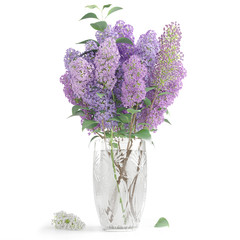Lilac bouquet in the crystal vase isolated on white background