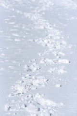 Snow texture. Snow texture. Snow texture.