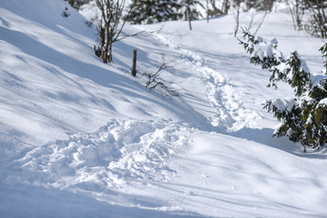 Fototapeta na wymiar Mountain path in the snow in the mountains.