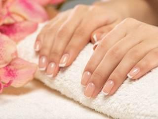 Woman gets manicure procedure in a spa salon. Beautiful female hands.
