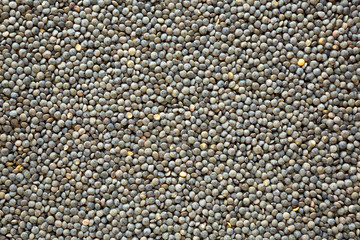 Dry green french lentils, overhead view. Closeup.