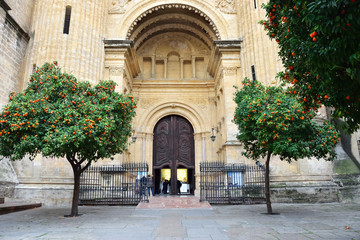 Wejście do katedry w Maladze - obrazy, fototapety, plakaty