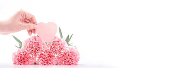 Top view of elegance blooming sweet pink color tender carnations isolated on bright white background with card, may mothers day mum greeting design concept, close up, copy space